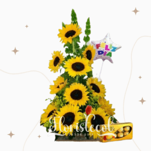 Arreglo con 11 Girasoles + chocolates + globo