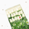 Caja con 18 Rosas Blancas