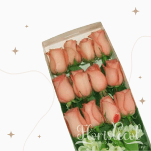 Caja con 12 Rosas Rosadas