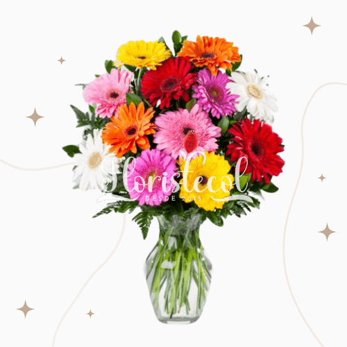 Jarrón con 12 Gerberas
